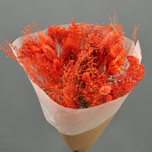 Armonía Naranja