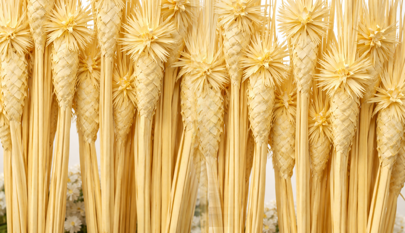 Dónde comprar palmas de Domingo de Ramos en Callosa de Segura